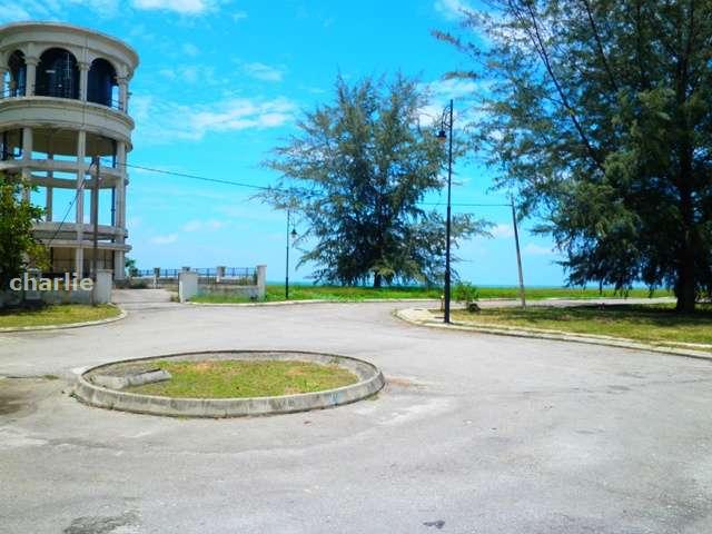 That Plot with Tree on it..