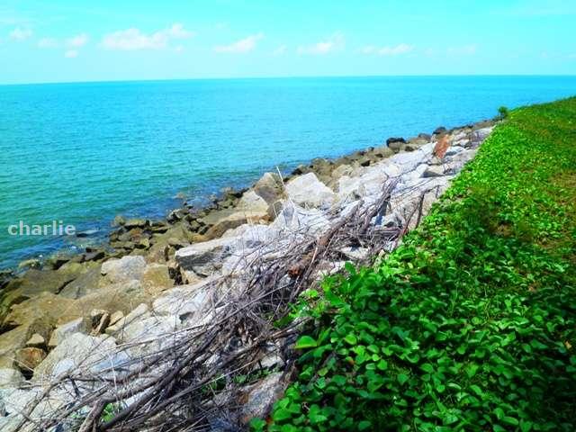 At High Tide