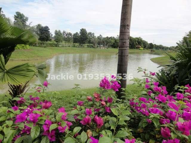 LAKE SCENERY