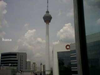 the view