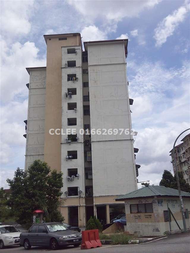 CCLEE 0166269762