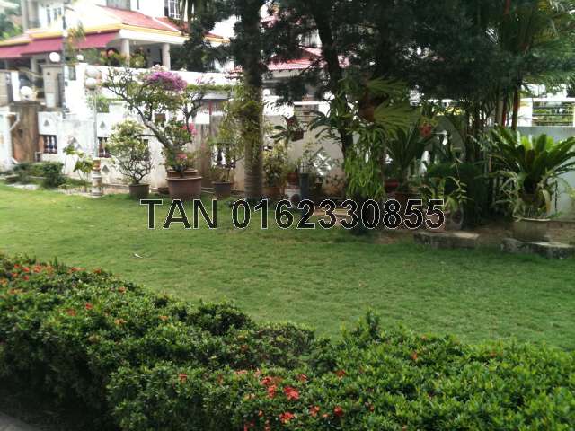 garden2