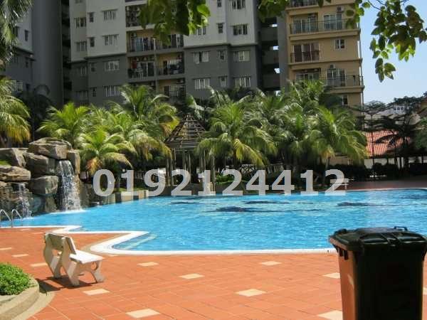 Adult Pool