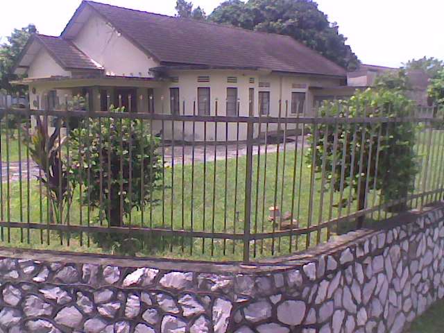 main picture