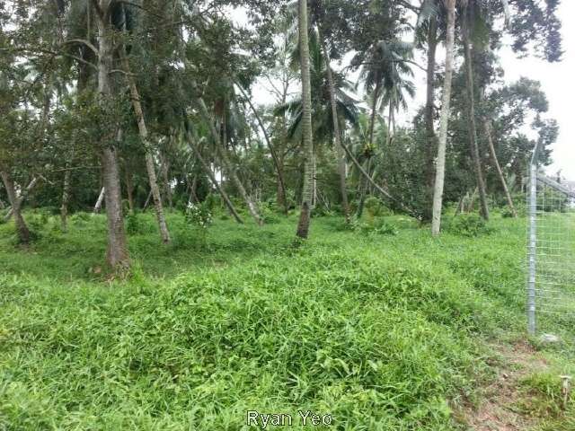 Johor
