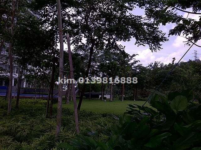 green landscape