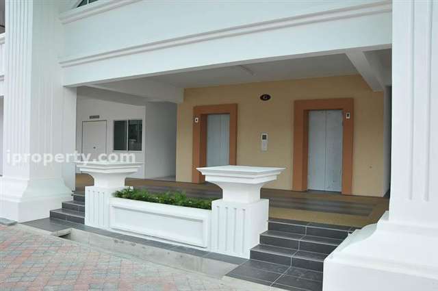 Cassia Lift