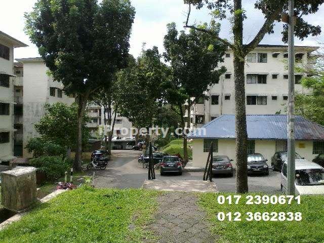 greenish and peaceful environment