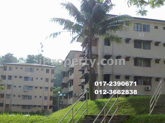 greenish environment