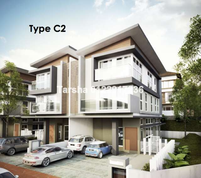 Type C2