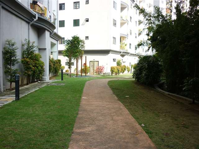 Wide jogging track