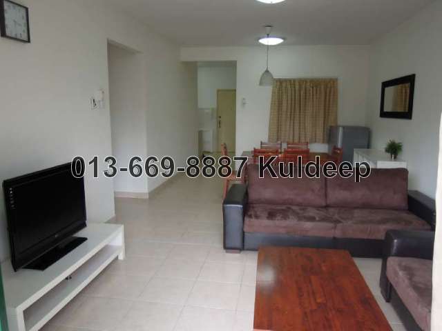 The Living Area