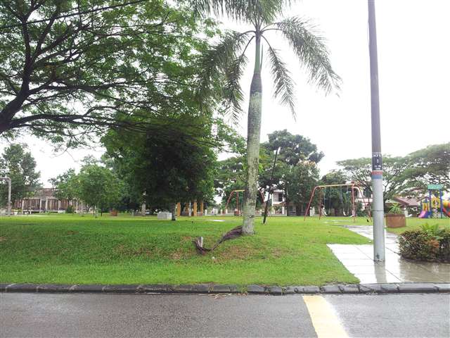 Front garden view