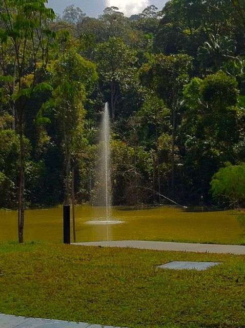 water fountain